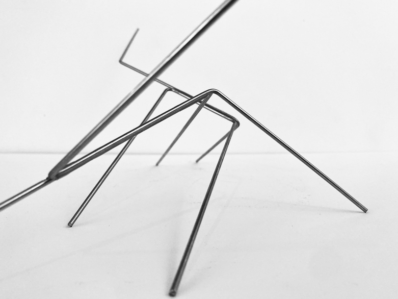 Pippo Lionni 20220220 43°11° steel wire sculpture 12x32x17cm