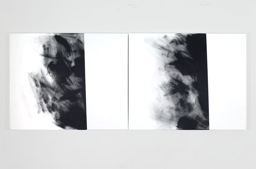 pippo lionni - GRAYMATTERS 23, 2010, Acrylic on canvas, diptych, 80x200cm